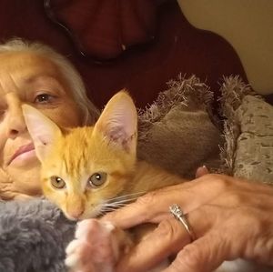 Meet your Posher, Annette